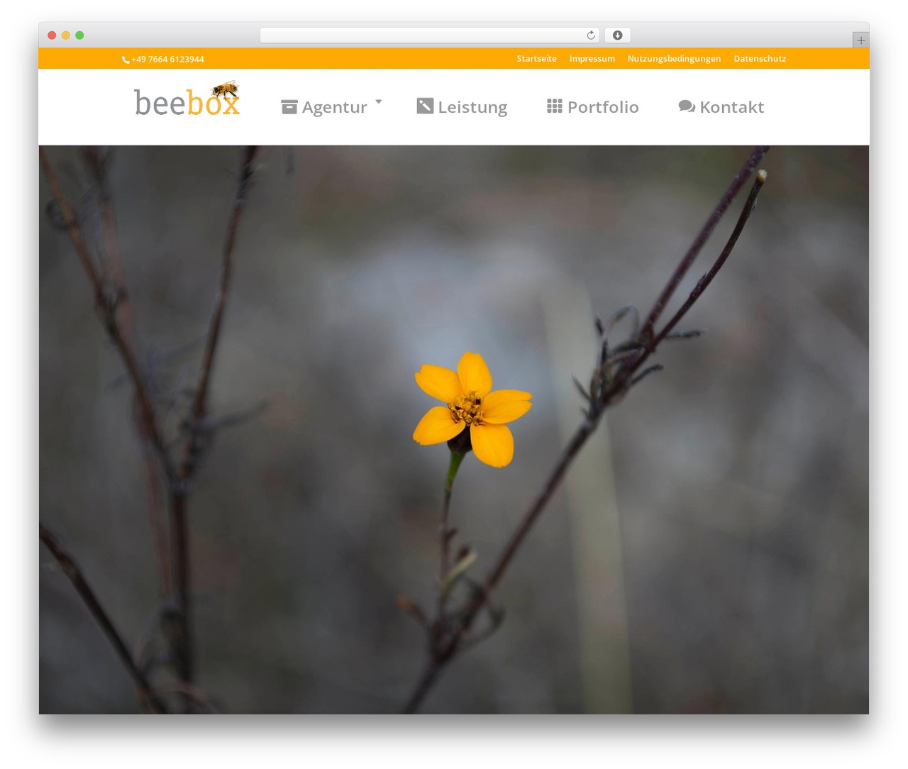 Clarify WordPress theme - beebox.de Clarify WordPress theme - beebox.de