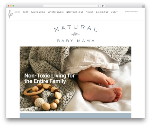 Splendor Theme WordPress theme - naturalbabymama.com