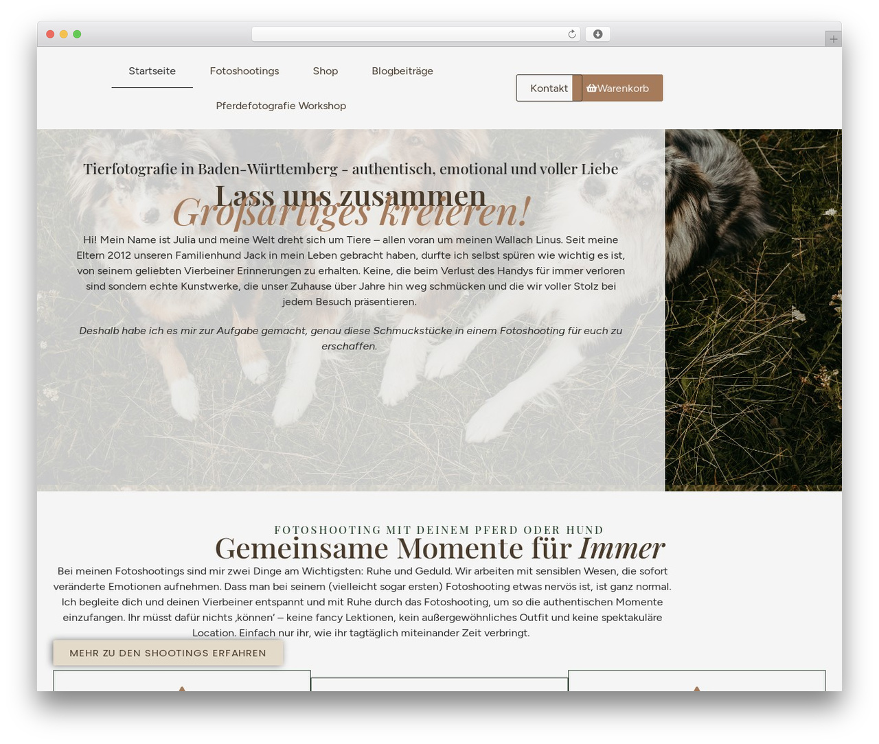 Theme WordPress Hello Elementor - jw-fotografie.com