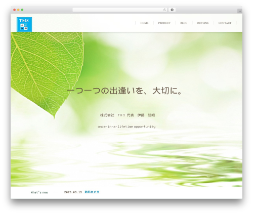 Custom article WordPress plugin - sotsu-tms.com
