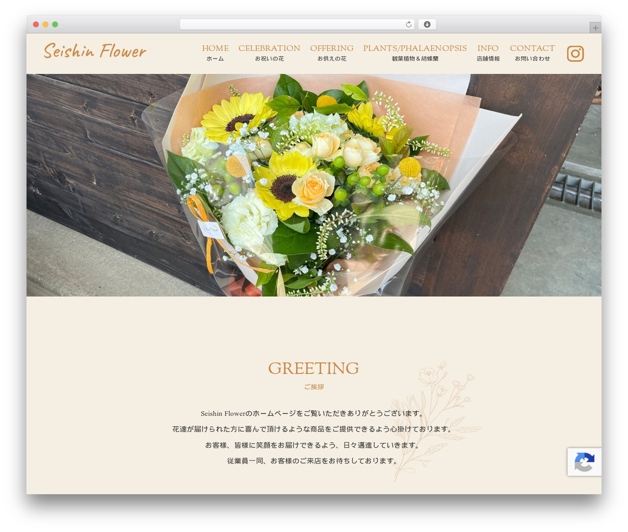 Themify Basic WordPress theme - ss-flower.com Themify Basic WordPress theme - ss-flower.com