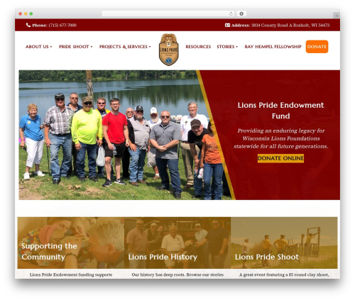 WordPress theme Premium Theme - lionspride.org