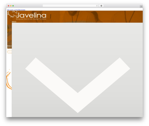 Spotlight social photo feeds premium WordPress plugin - javelina.co