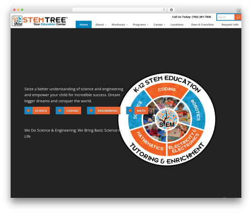 Divi WordPress theme - stemtree.com