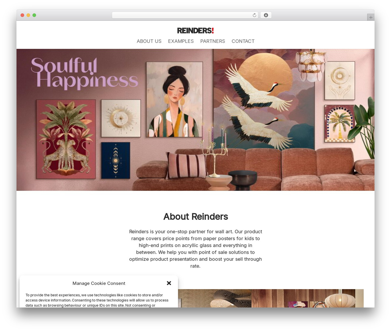 Divi WordPress website theme - reindersgroup.com Divi WordPress website theme - reindersgroup.com