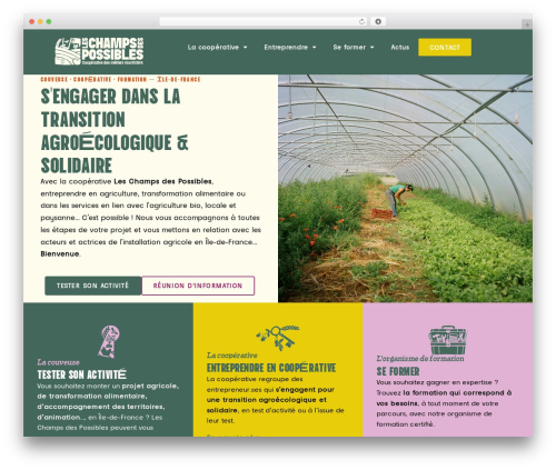 Elementor mcp main WordPress plugin - leschampsdespossibles.fr
