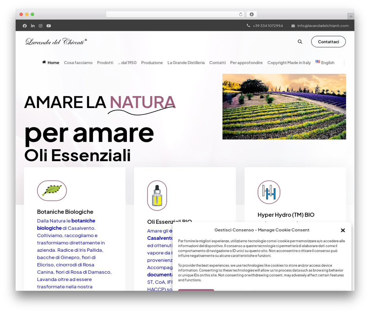 Laszlo best WordPress theme - lavandadelchianti.com Laszlo best WordPress theme - lavandadelchianti.com