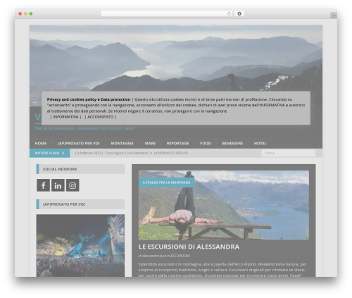 Social Media Icons Widget (spoontalk-social-media-icons-widget) free WordPress plugin - viaggioriginali.it