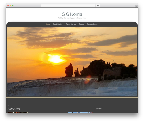 Preference Lite WordPress theme - sgnorris.co.uk