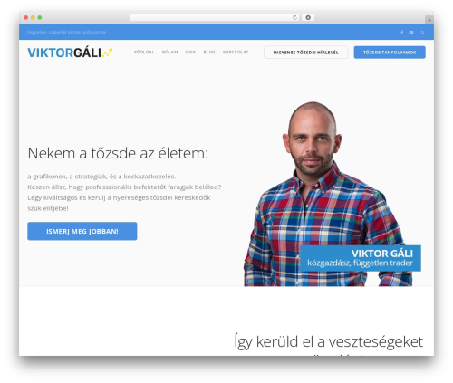 Modal_survey WordPress plugin - viktorgali.com