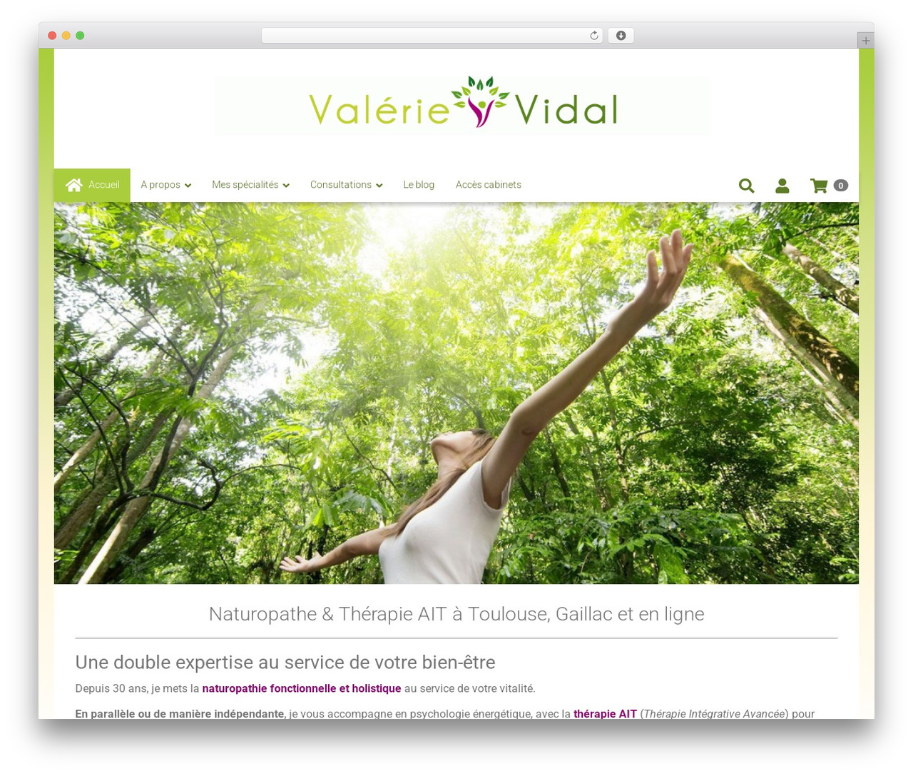 WordPress theme 6temflex - valerievidal.fr