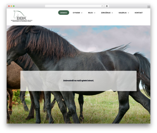 Developer Tools Blocker (swiftninjapro-inspect-element-console-blocker) free WordPress plugin - bosanskikonj.si Developer Tools Blocker (swiftninjapro-inspect-element-console-blocker) free WordPress plugin - bosanskikonj.si