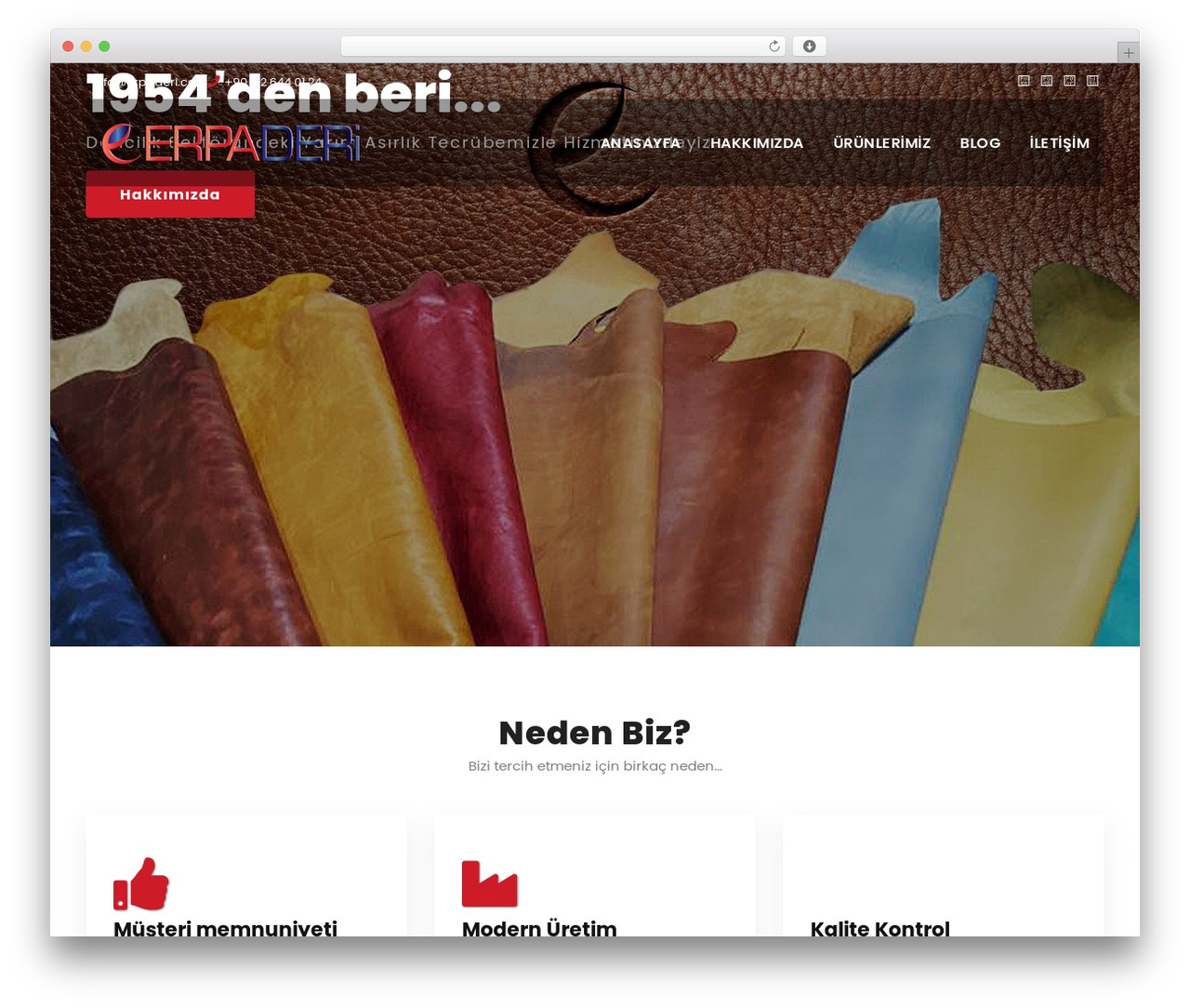 Consultup theme WordPress - erpaderi.com