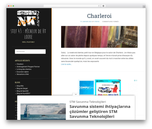 Flat WordPress theme - stef43.gobages.net