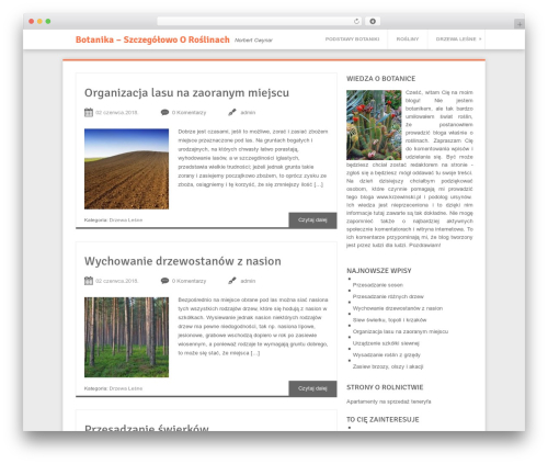 Softpress WordPress theme - cwynar.com.pl