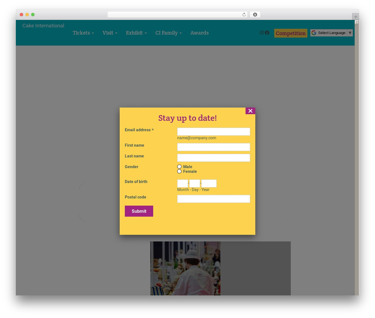 Bootstrap Basic theme WordPress free - cakeinternational.co.uk Bootstrap Basic theme WordPress free - cakeinternational.co.uk