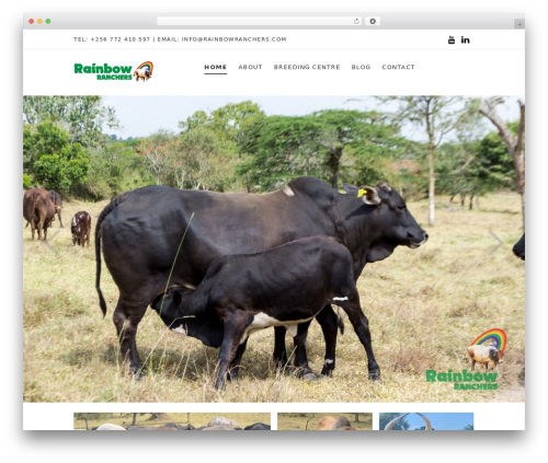Creator Responsive WordPress Theme WordPress theme - rainbowranchers.com