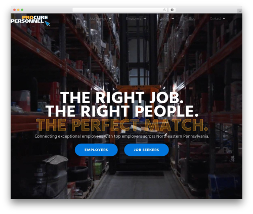 Hello Elementor WordPress theme - procurepersonnel.com