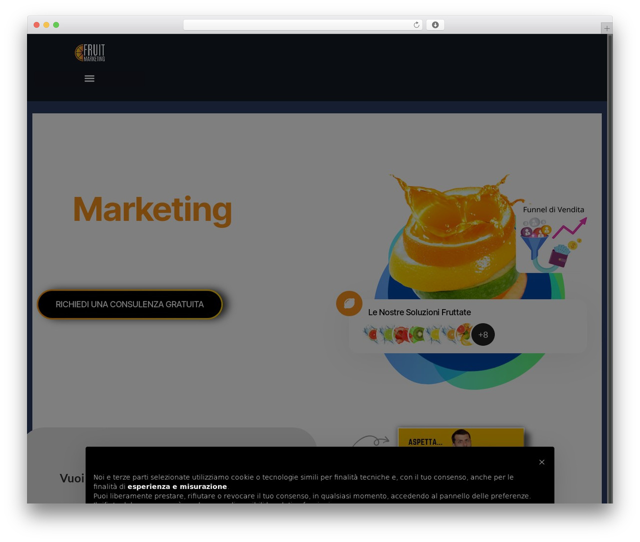 Saira WordPress theme - fruitmarketing.it Saira WordPress theme - fruitmarketing.it