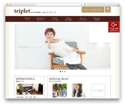 Triplet theme WordPress - triplet-hair.com