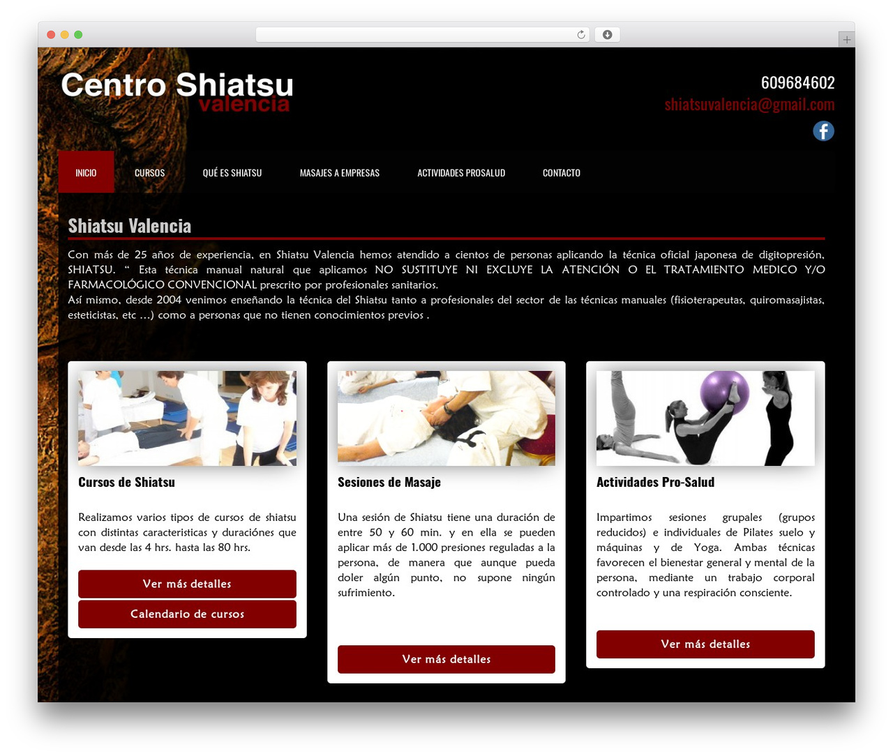 WordPress theme spa - shiatsuvalencia.com