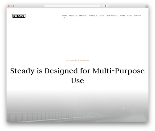 Steady post share WordPress plugin - warneradvertising.com