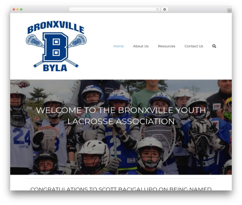Tswp WordPress plugin - bronxvillelacrosse.org
