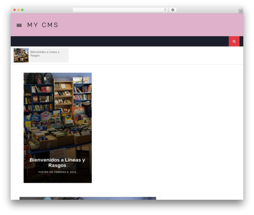 Best WordPress theme Infinity Mag - artepas.com