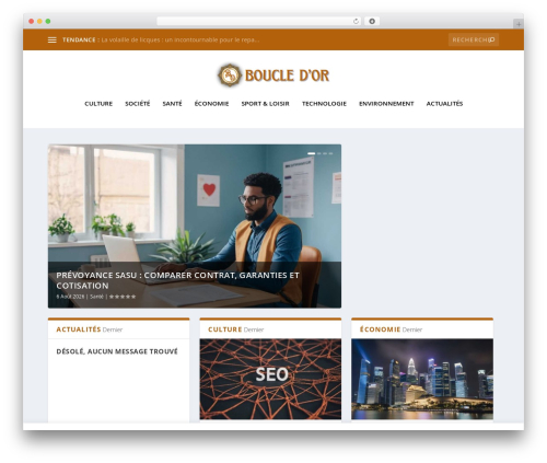 Divi contact form zero spam WordPress plugin - boucledor.net