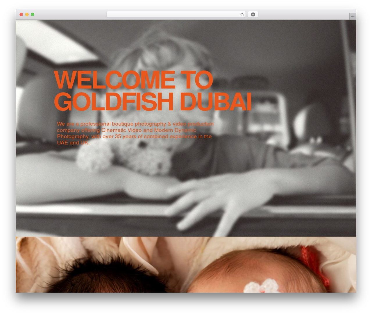 Hello Elementor theme WordPress - goldfishdubai.com