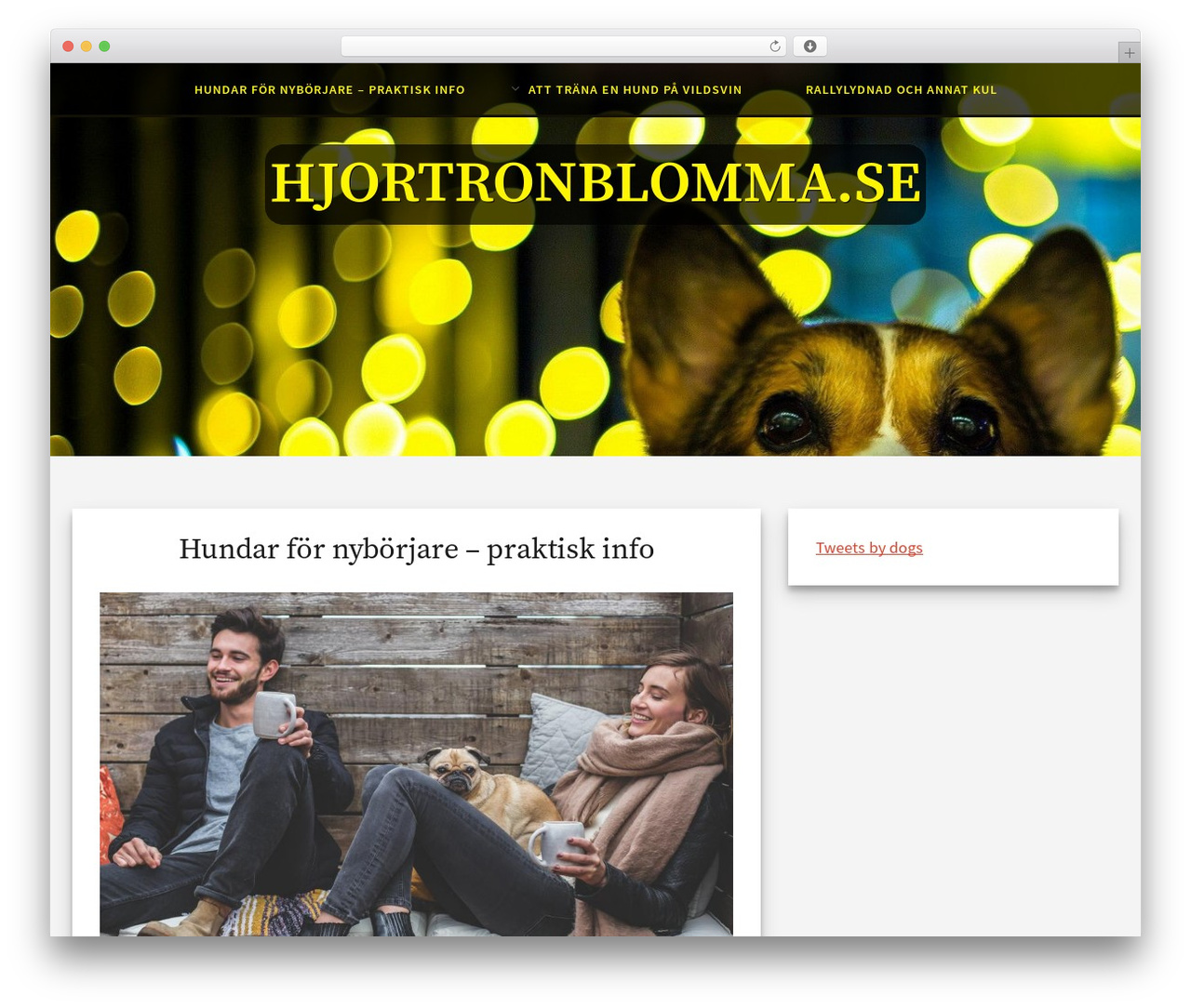 Simplex Munk WordPress theme - hjortronblomma.se Simplex Munk WordPress theme - hjortronblomma.se