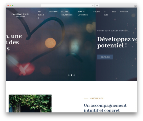 Litho addons WordPress plugin - carolineklein-coaching.com