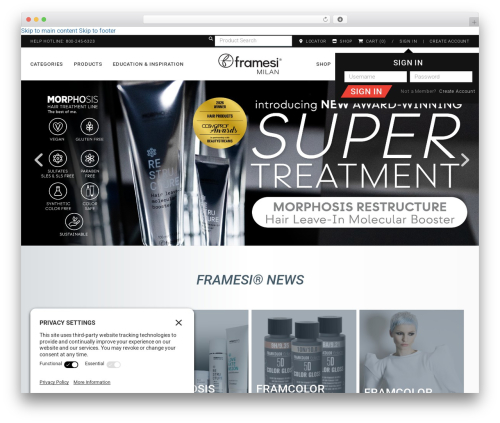 Bricks WordPress theme - framesiprofessional.com