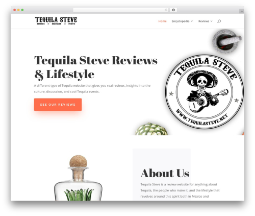 WordPress theme Divi - tequilasteve.net