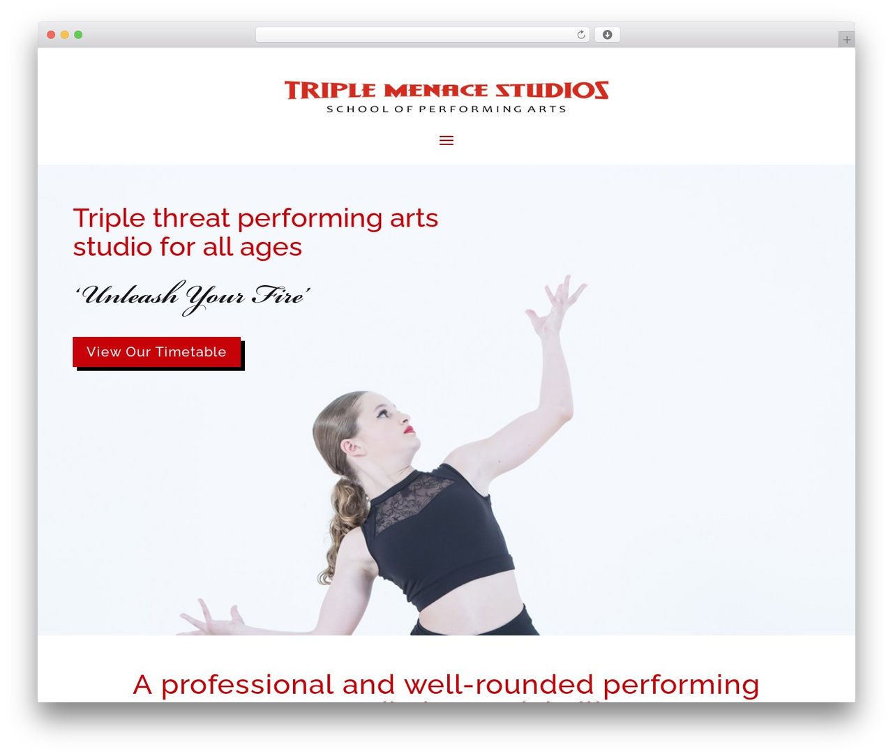 Divi Child theme WordPress - triplemenacestudios.com