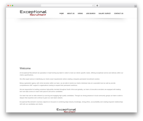 Simple job board email attachment WordPress plugin - exceptionalrecruitment.co.za