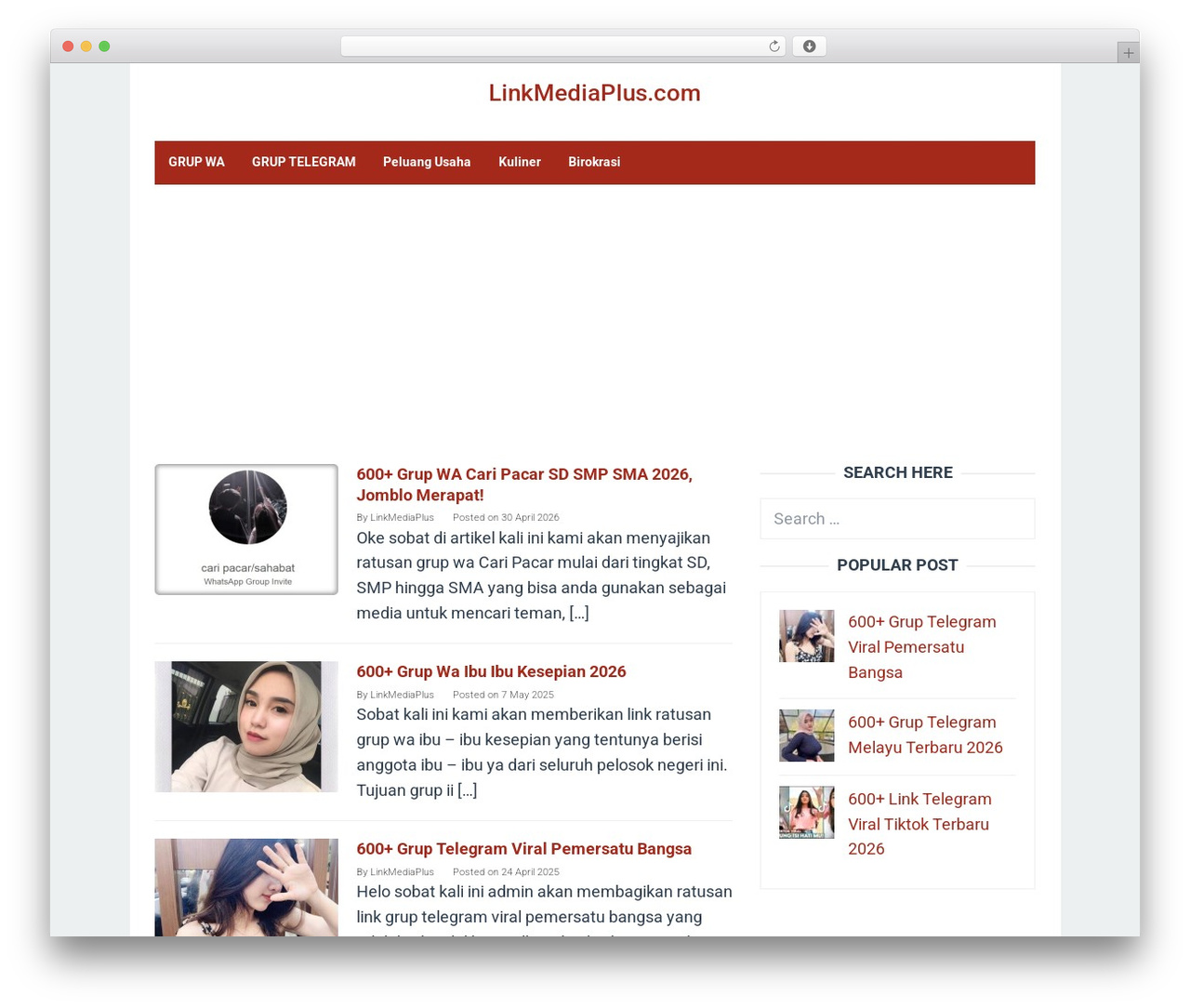Superfast theme WordPress - linkmediaplus.com Superfast theme WordPress - linkmediaplus.com