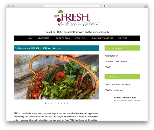 Theme WordPress Killara Station Network Theme - freshatks.com