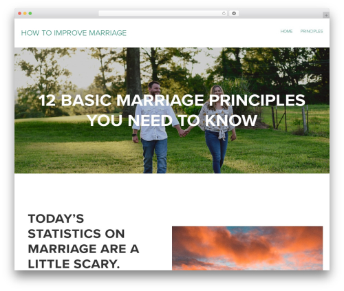 Infomedia dashboard main WordPress plugin - basicmarriageprinciples.com
