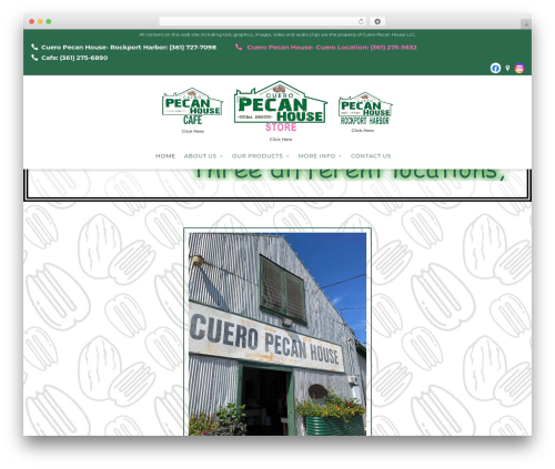 WordPress theme Beacon Theme - cueropecanhouse.com