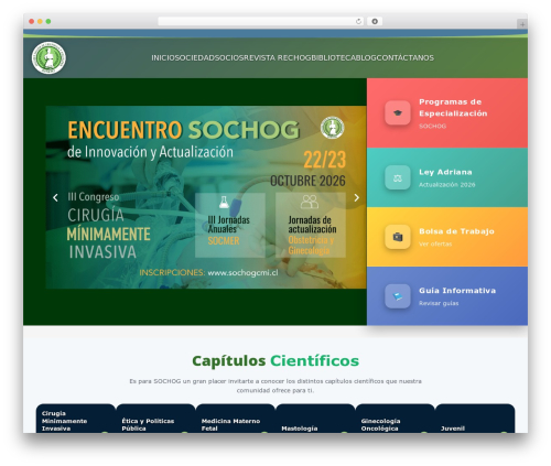 AVXBuilder WordPress theme - sochog.cl