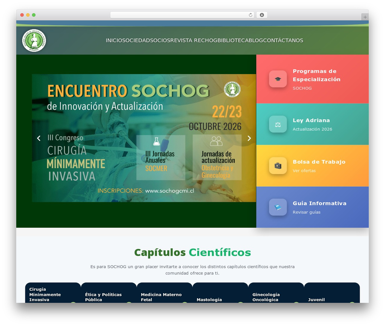 AVXBuilder WordPress theme - sochog.cl
