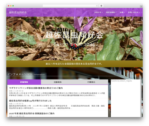 Flat Bootstrap theme WordPress - ekkon-niigata.co