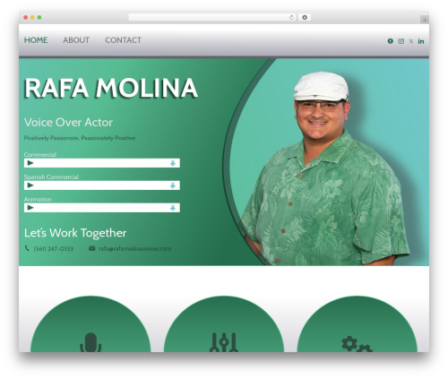 Webby audio stats WordPress plugin - rafamolinavoices.com