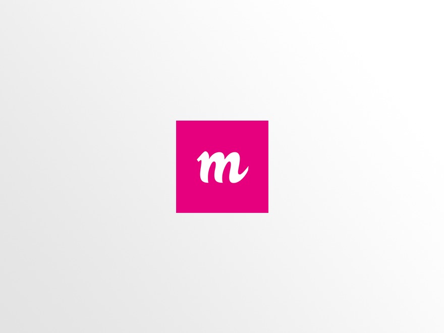 WordPress theme Theme by muto websolutions e.U.