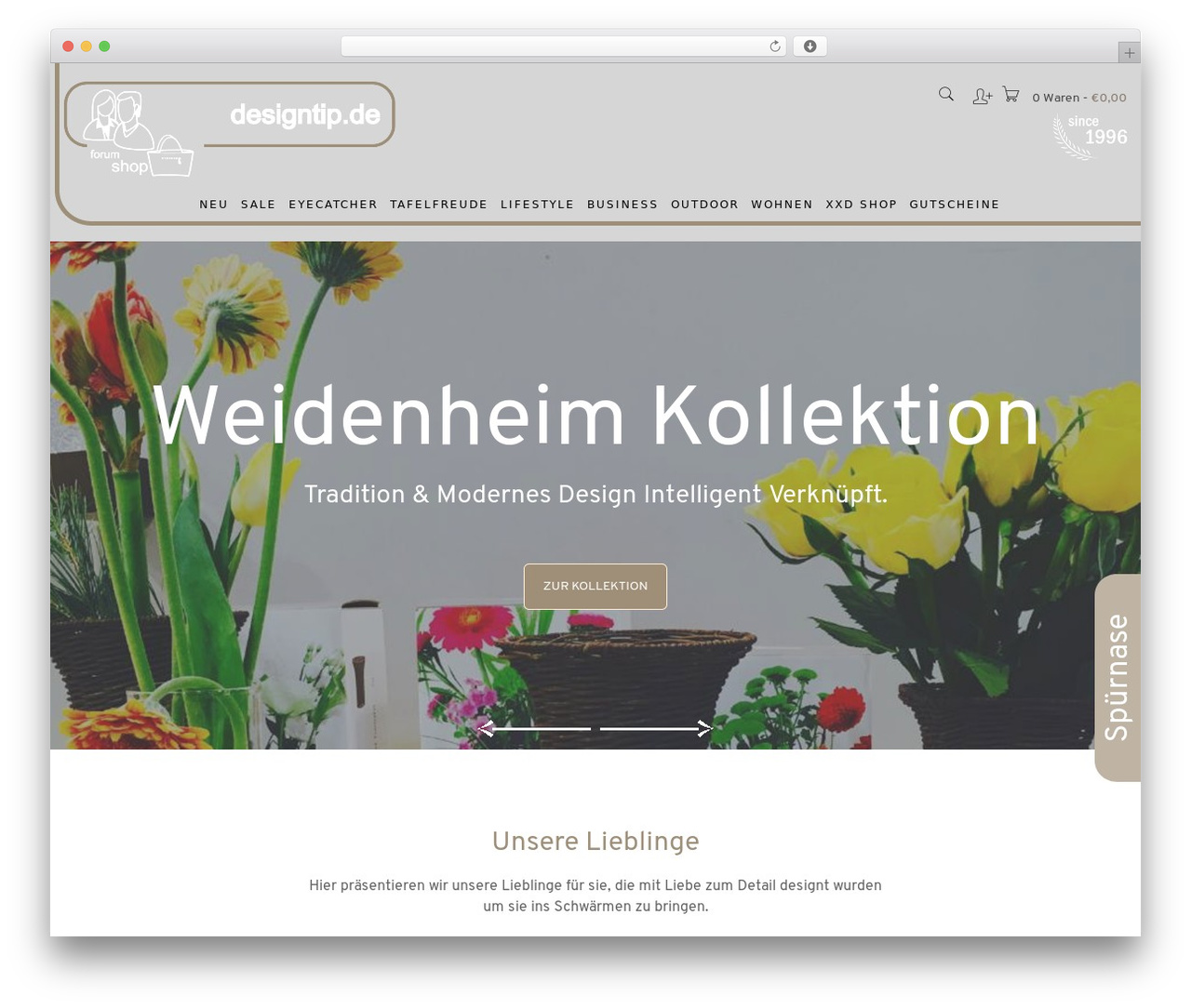 Best WordPress theme Dev Pro - designtip.de