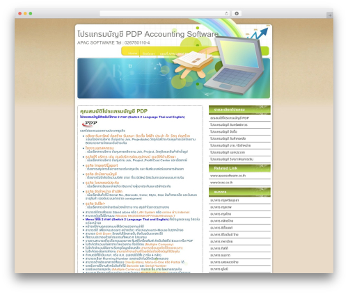 Code Unknown WordPress theme - pdpsoftware.com