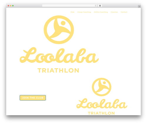 Divi theme WordPress - loolaba.ch