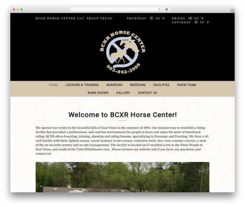 Curly extension WordPress plugin - bcxr.org