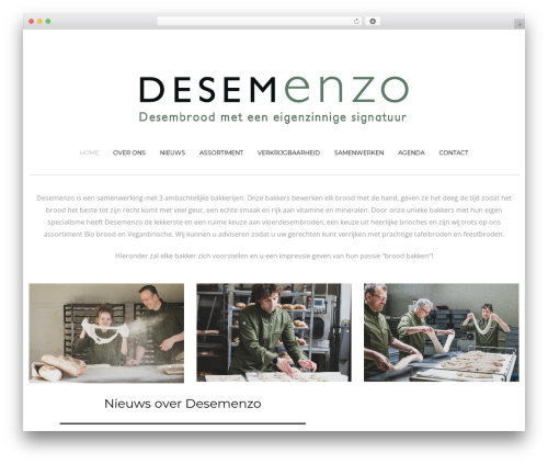Mt_services WordPress plugin - desemenzo.nl